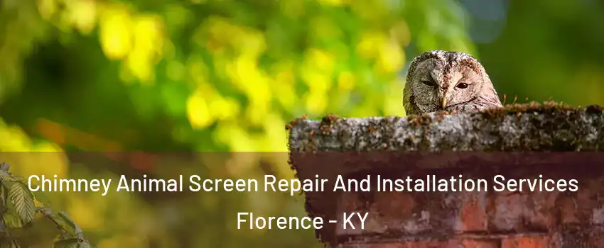  Chimney Animal Screen Repair And Installation Services Florence - KY