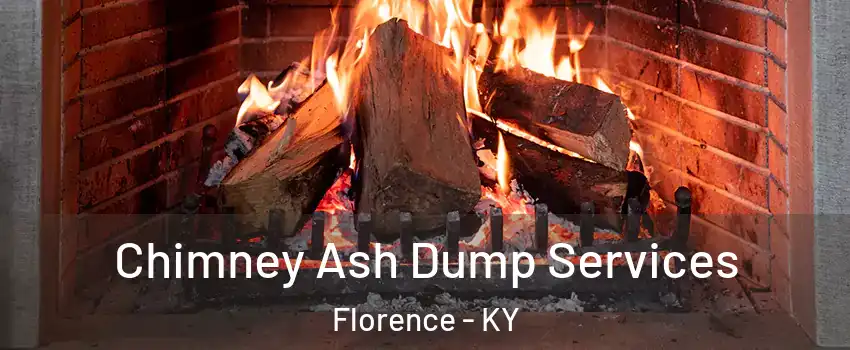 Chimney Ash Dump Services Florence - KY