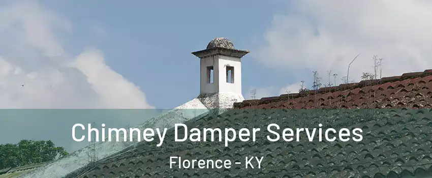  Chimney Damper Services Florence - KY
