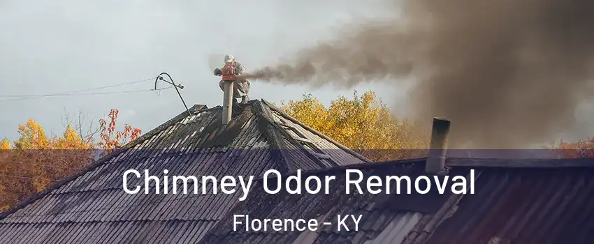 Chimney Odor Removal Florence - KY