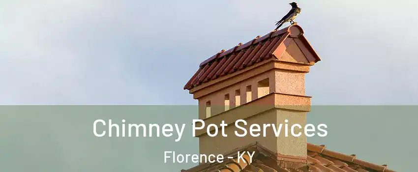  Chimney Pot Services Florence - KY