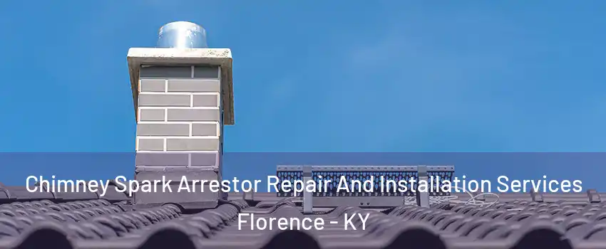  Chimney Spark Arrestor Repair And Installation Services Florence - KY