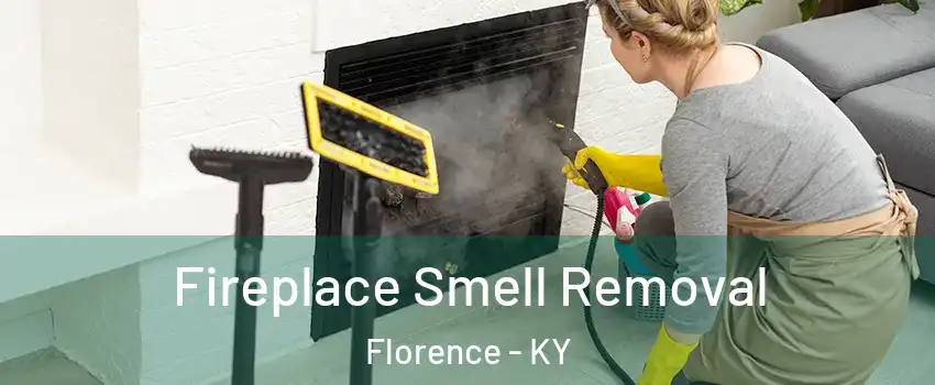  Fireplace Smell Removal Florence - KY