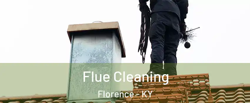  Flue Cleaning Florence - KY