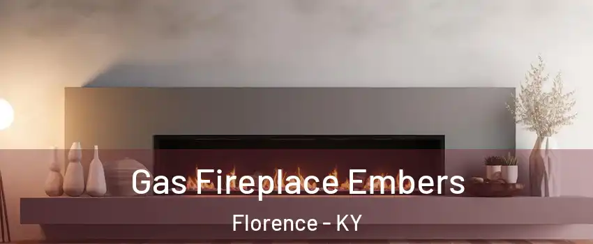  Gas Fireplace Embers Florence - KY