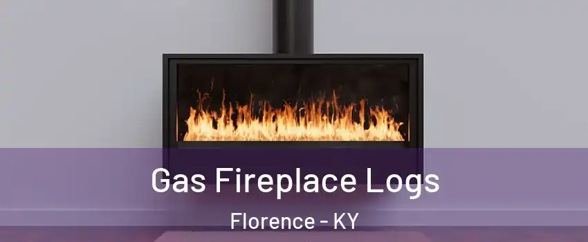  Gas Fireplace Logs Florence - KY