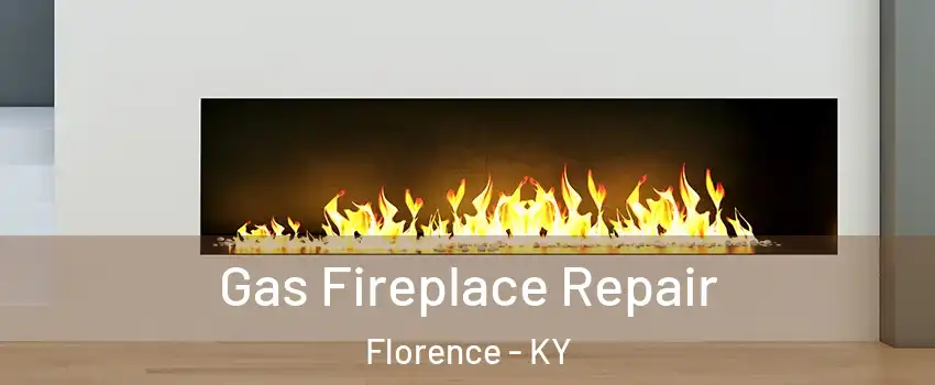  Gas Fireplace Repair Florence - KY