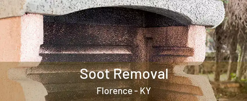  Soot Removal Florence - KY